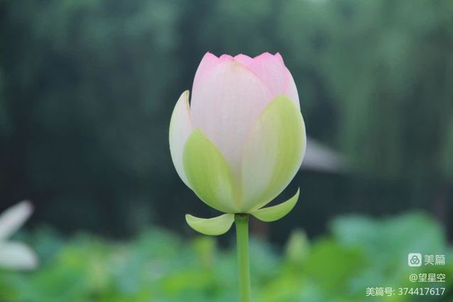 ylzz总站线路检测