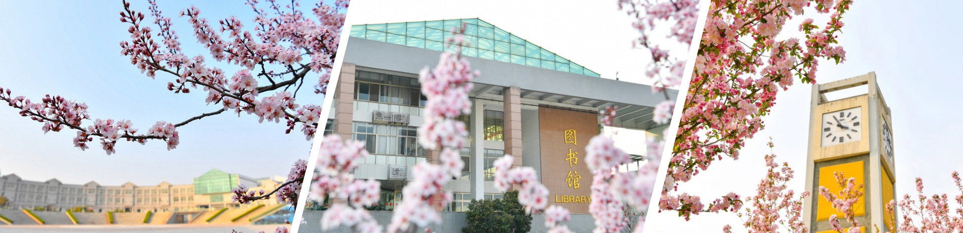 ylzz总站线路检测