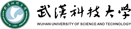 ylzz总站线路检测
